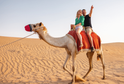 Why Holidays Qatar Is the Ultimate Choice for Desert Adventures