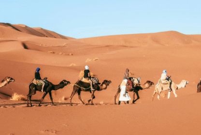 Family-Friendly Holidays in Qatar with Holidays Qatar